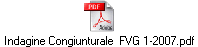 Indagine Congiunturale FVG 1-2007.pdf